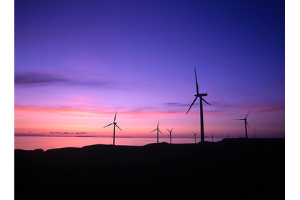 サンプルテキスト